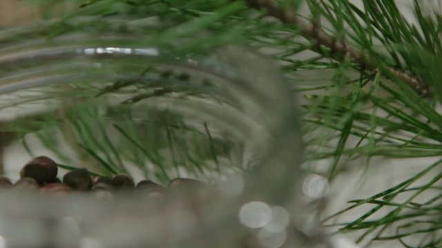 Piece of kitchen interior with a glass can full of cedar nuts and decorated with coniferous tree branch, green cone on cedar.