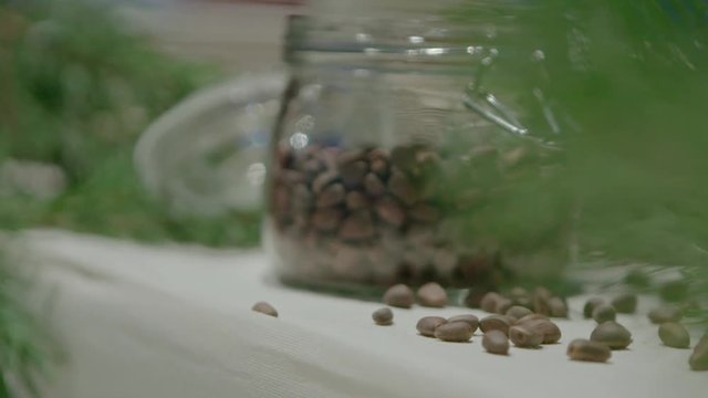 Piece of kitchen interior with a glass can full of cedar nuts and decorated with coniferous tree branch, green cone on cedar.