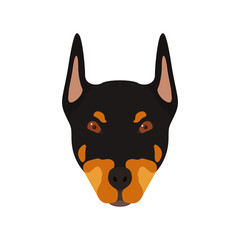 Doberman dog head. Portrait of dog. Vector illustration.