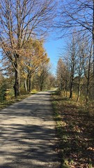 Autumn