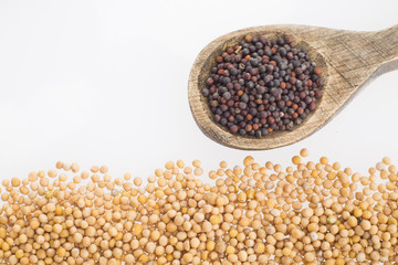 Seeds of yellow and black mustard