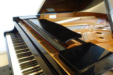 Grand piano © fannrei
