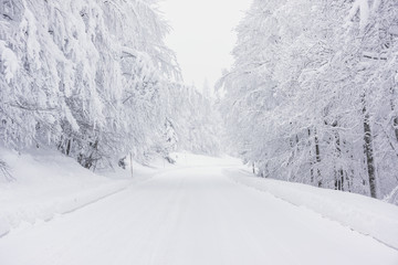 A snowy road in the mountains - Powered by Adobe