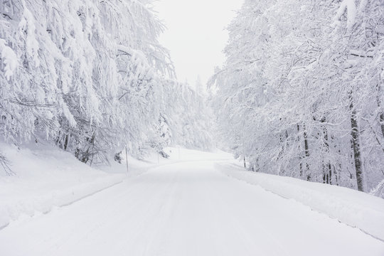 A snowy road in the mountains