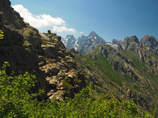 summer scenery of high snow covered mountain peaks on corsician alpes with pine trees, green bushes and blue sky background
