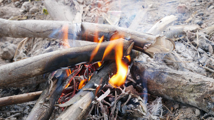 Obraz premium farmland