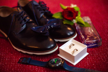 Beautiful wedding couples winter/Christmas wedding