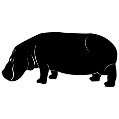 Vector, flat image of a hypotopus on an isolated white background