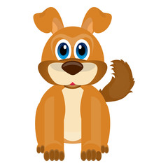 Isolated cute dog