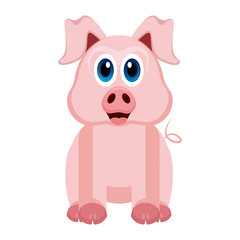 Isolated cute pig