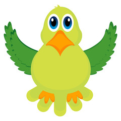 Isolated cute parrot