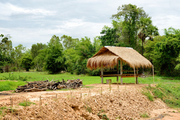 Fototapeta na wymiar Thai traditional hut at green rice field