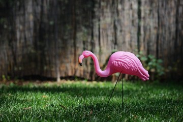 Kitschy plastic pink flamingo in green grass