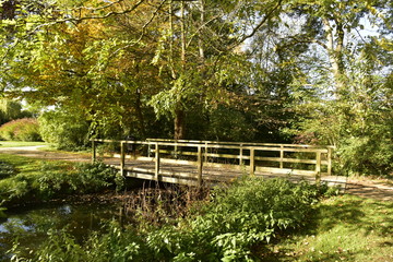 Petit pont en bois enjambant un petit chenal sous une végétation dense en automne au Vrijbroek Park à Malines
