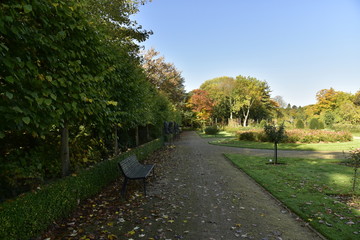 Bancs à l'ombre le long d'une allée à la roseraie du Vrijbroekpark à Malines