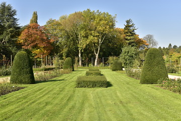 Haies et parterres de roses sur une immense pelouse en automne au Vrijbroek Park à Malines