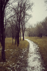 Obraz premium snow-covered path.