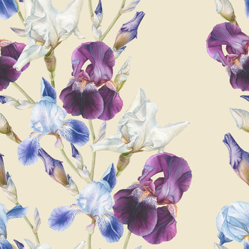 Floral seamless pattern with watercolor irises