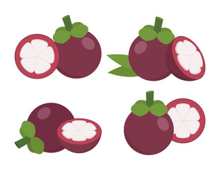 Mangosteen. Set of flat icons. Vector illustration.