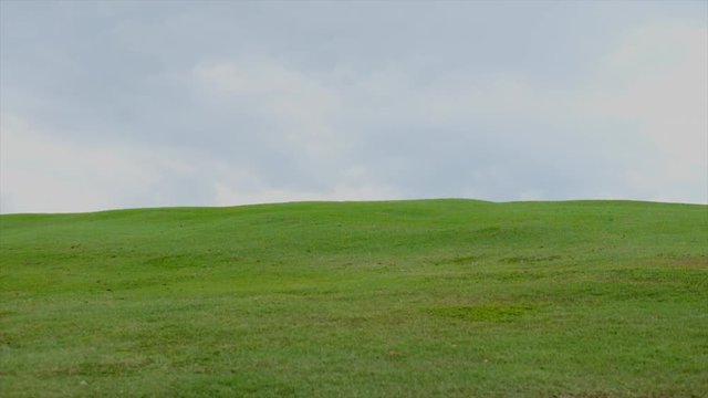 Green Grass Yard in Green Park