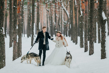 Fototapeta na wymiar Bride and groom walks on the snowy trail with two siberian husky. Winter wedding. Artwork