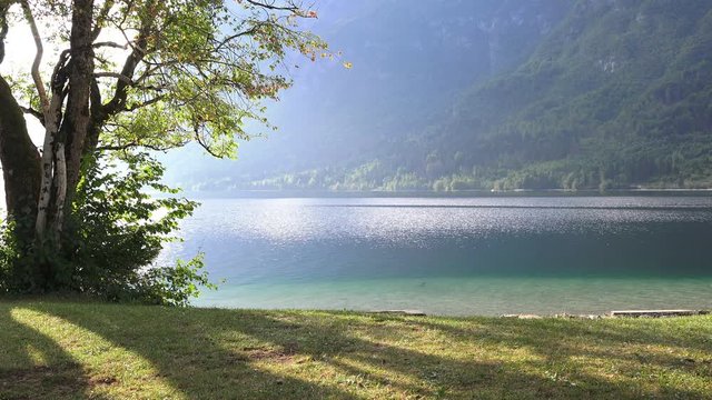 Beauty in nature of lake Bohinj in Slovenian national park triglav