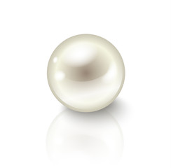 Vector realistic shiny pearl with shadow and reflection isolated on white background