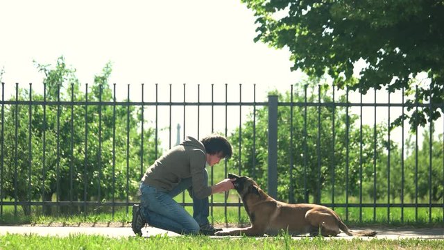 Woman is setting paws of her dog. Paws arrangement and execution of commands.