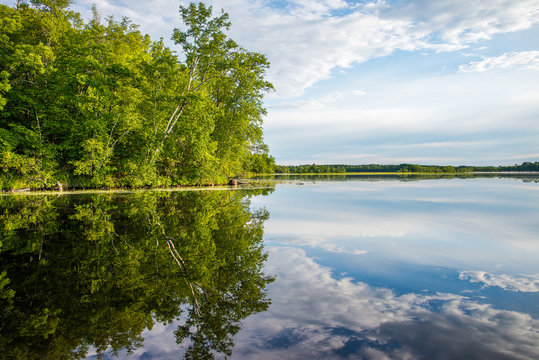 Summer Lakeshore