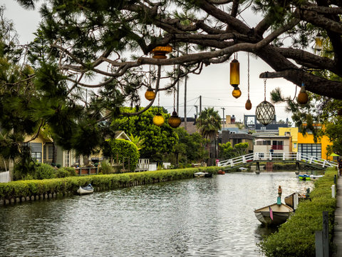 Venice Canals, hanging lamps on the tree -  Venice Beach, Los Angeles, California, USA