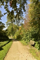 L'un des bancs le long de la végétation luxuriante en automne, au Vrijbroekpark à Malines