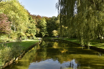 Fototapeta na wymiar Le chenal principal sous la nature luxuriante en automne au Vrijbroekpark à Malines