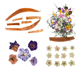 collection of dry leaves for application of girl face isolated on white