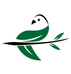 Green leaf dove bird icon