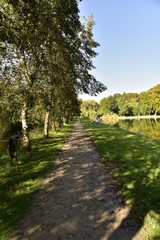 Fototapeta na wymiar Chemin à l'ombre des arbres longeant l'étang principal du Vrijbroekpark à Malines