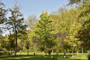 Fototapeta premium Oies sur la pelouse derrière les pêcheurs à la ligne sous la nature luxuriante en automne le long du chenal principal au Vrijbroekpark à Malines