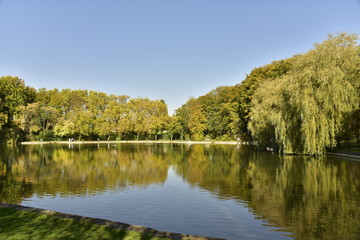 Reflet magique des arbres à feuillage parfois dorée dans l'étang principal au Vrijbroekpark à Malines