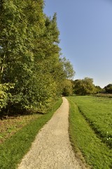 Obraz premium Chemin en gravier concassé légèrement sinueux longeant un bois au Vrijbroekpark à Malines