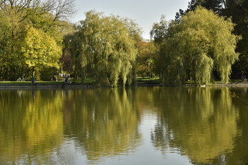 Fototapeta na wymiar Reflet magique des arbres à feuillage parfois dorée dans l'étang principal au Vrijbroekpark à Malines