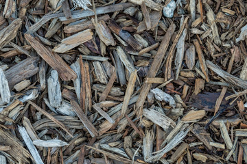 chipped dry wood ground texture