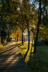 wooden pathway in the park under the morning sunlight 
