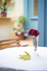 Autumnal outdoor cafe
