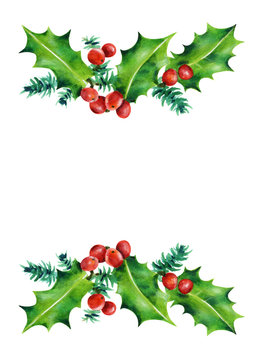 Christmas branches. Holly and red berries.   Watercolor illustration isolated on white background. Hand painted. 