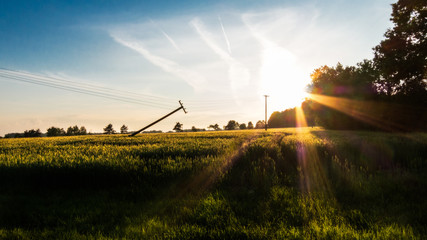 Tranquil evening rural scene of green corn field at sunset. Nostalgic summer landscape with old broken electric pylon and sunbeams.