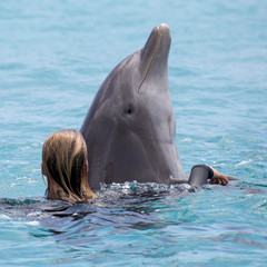 Delfin genießt das Training