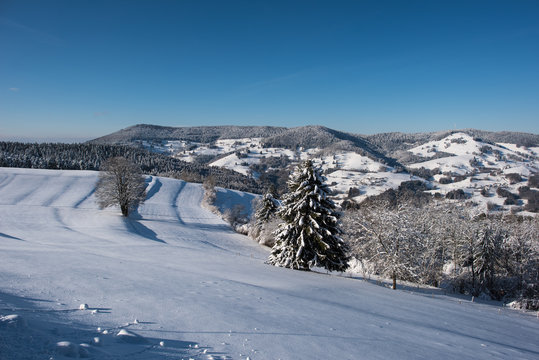 Winter landscape, south parth from black forest germany