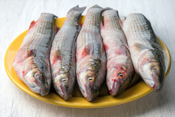 Fresh mullet fish on a plate.