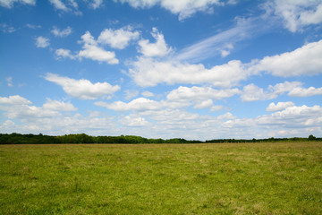blue sky with white clouds and field with green grass