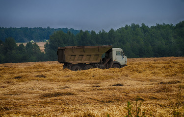 combine harvest in the field