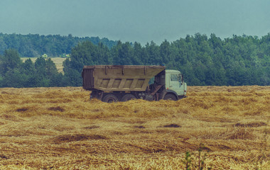 combine harvest in the field